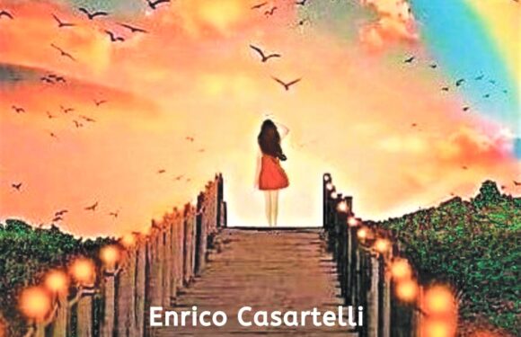 Diario di una donna in carriera” il nuovo romanzo di Enrico Casartelli