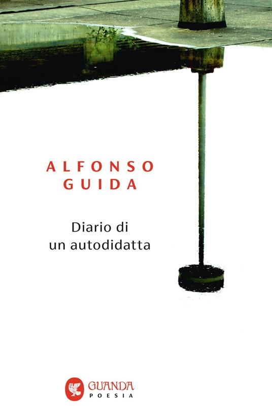 Immagine di copertina